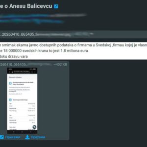 Foto: Printscreen/Anes Balićevac